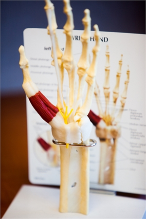 Image related to Patient Education Hand Shoulder and Wrist Conditions Houston